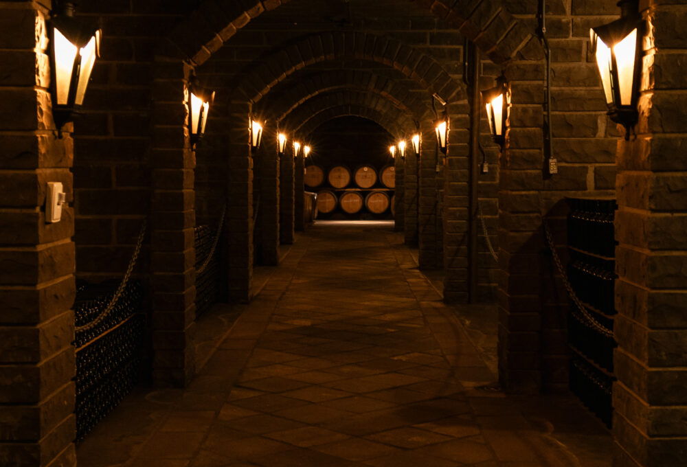 Tour Vinhedos com Casa Valduga, Vinícola Miolo e Vinícola Cave de Pedra