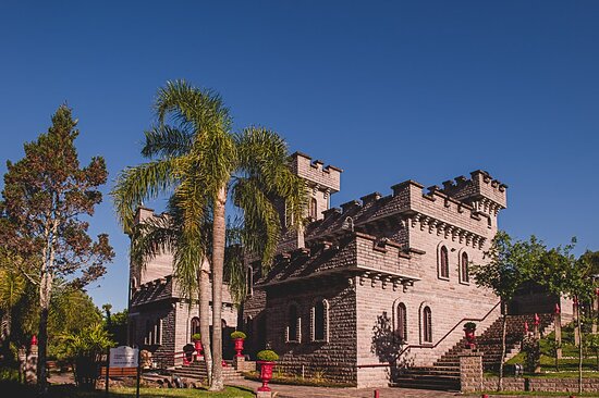 Tour Vinhedos com Casa Valduga, Vinícola Miolo e Vinícola Cave de Pedra