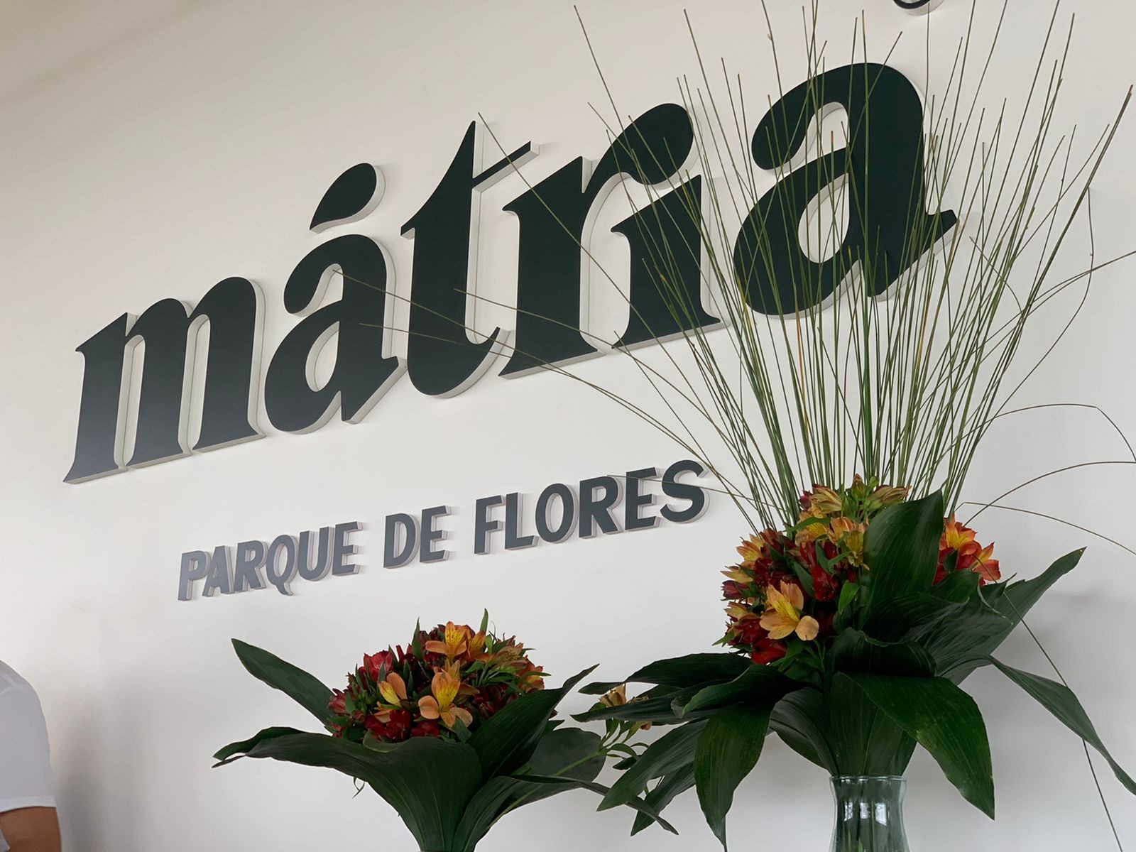 Mátria - Parque de Flores