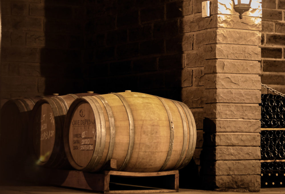 Tour Vinhedos com Casa Valduga, Vinícola Miolo e Vinícola Cave de Pedra