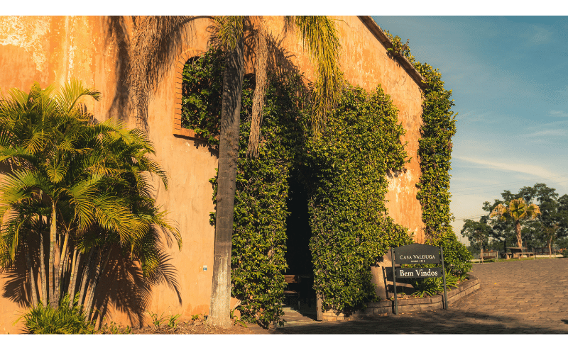 Tour Vinhedos + Vinícolas Casa Valduga e Miolo