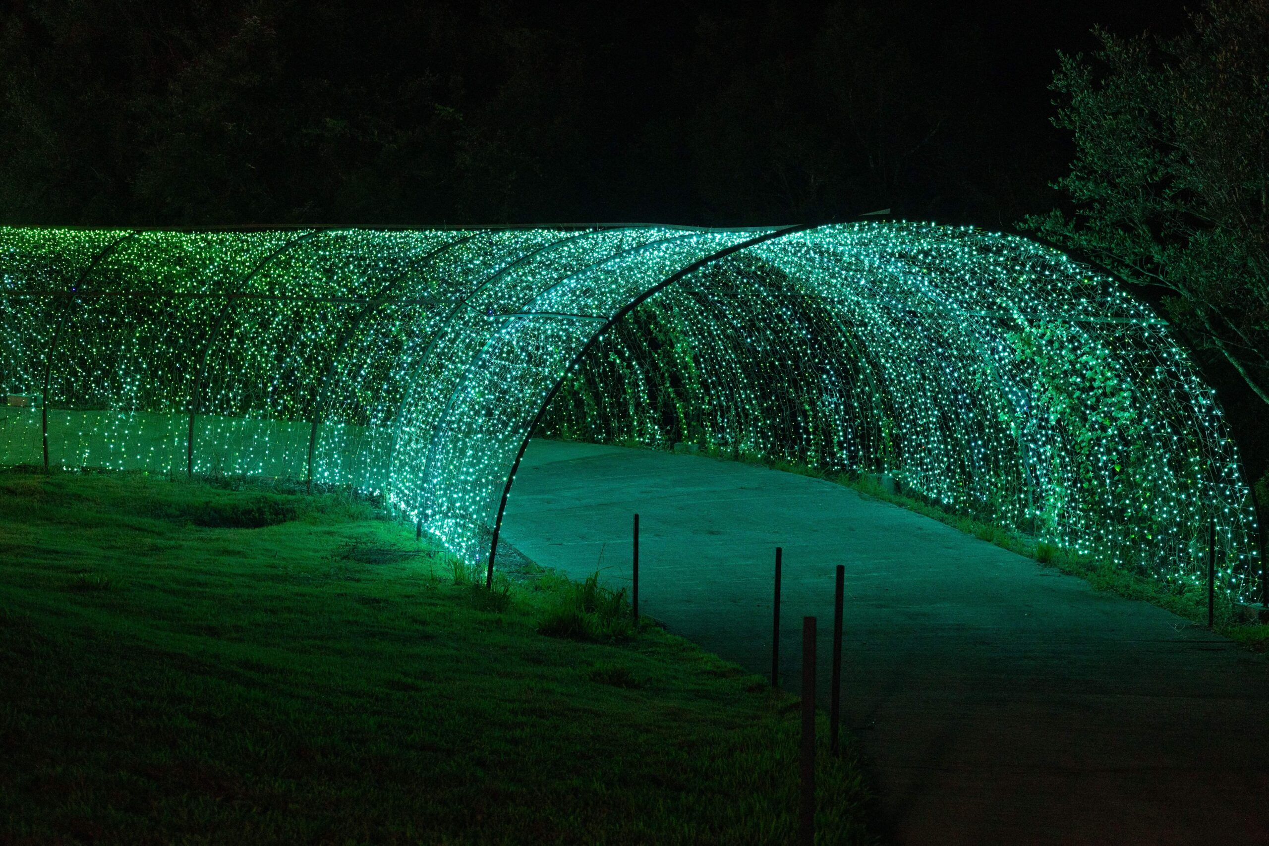 Lumni Gramado