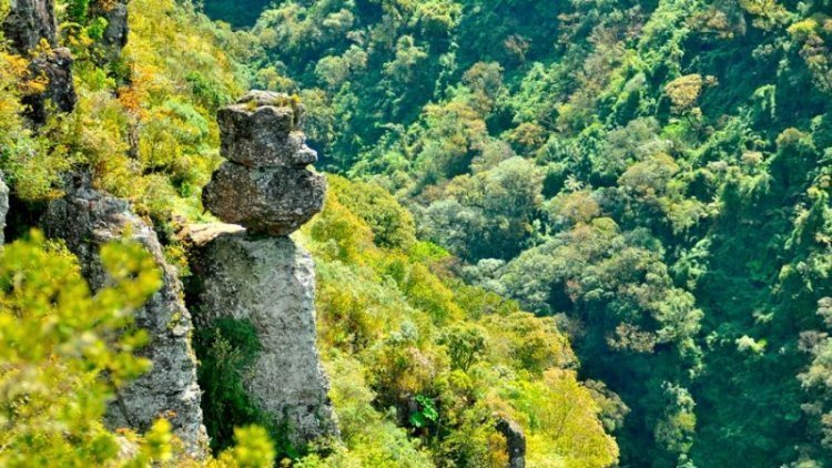 Tour Cânion Fortaleza em Cambará do Sul