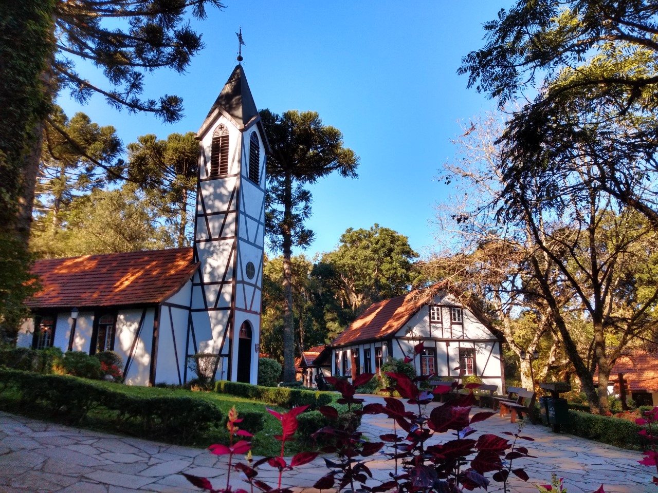 Wine Bus em Nova Petrópolis