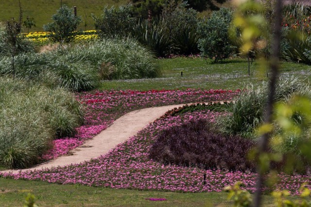 Mátria - Parque de Flores