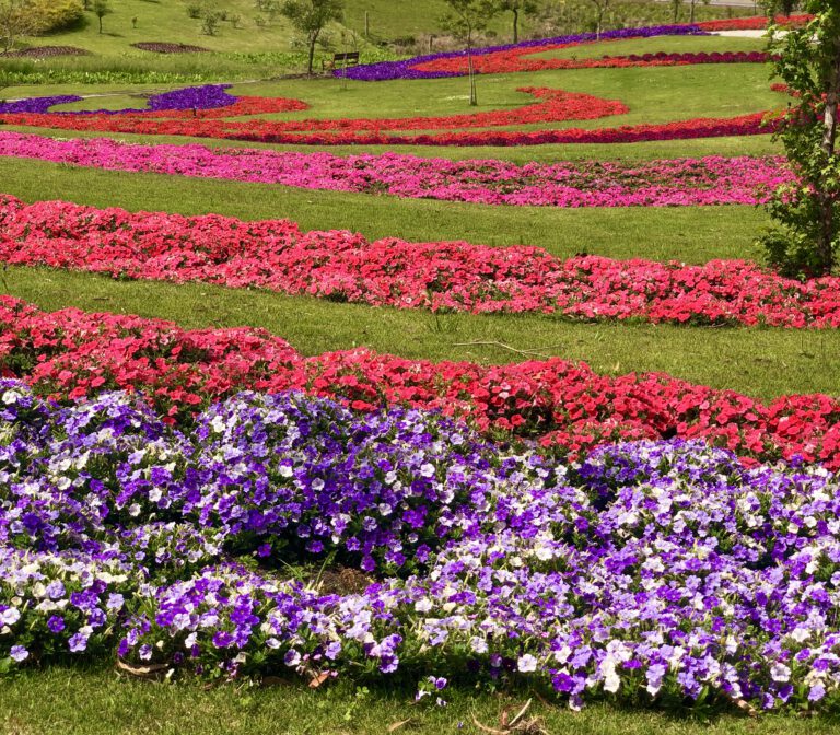 Mátria - Parque de Flores