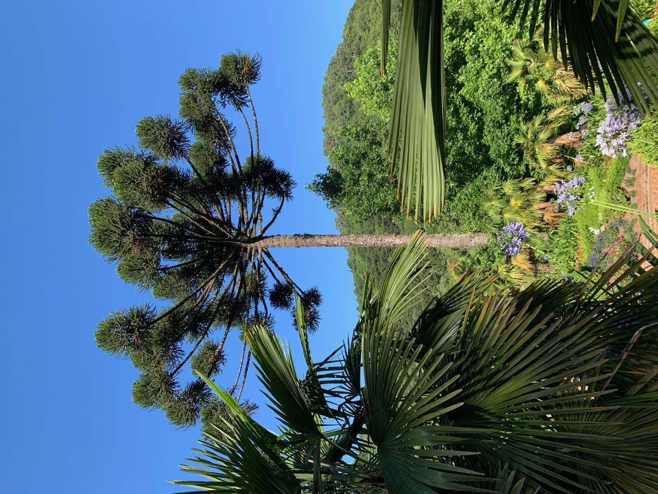 Garden Park Gramado