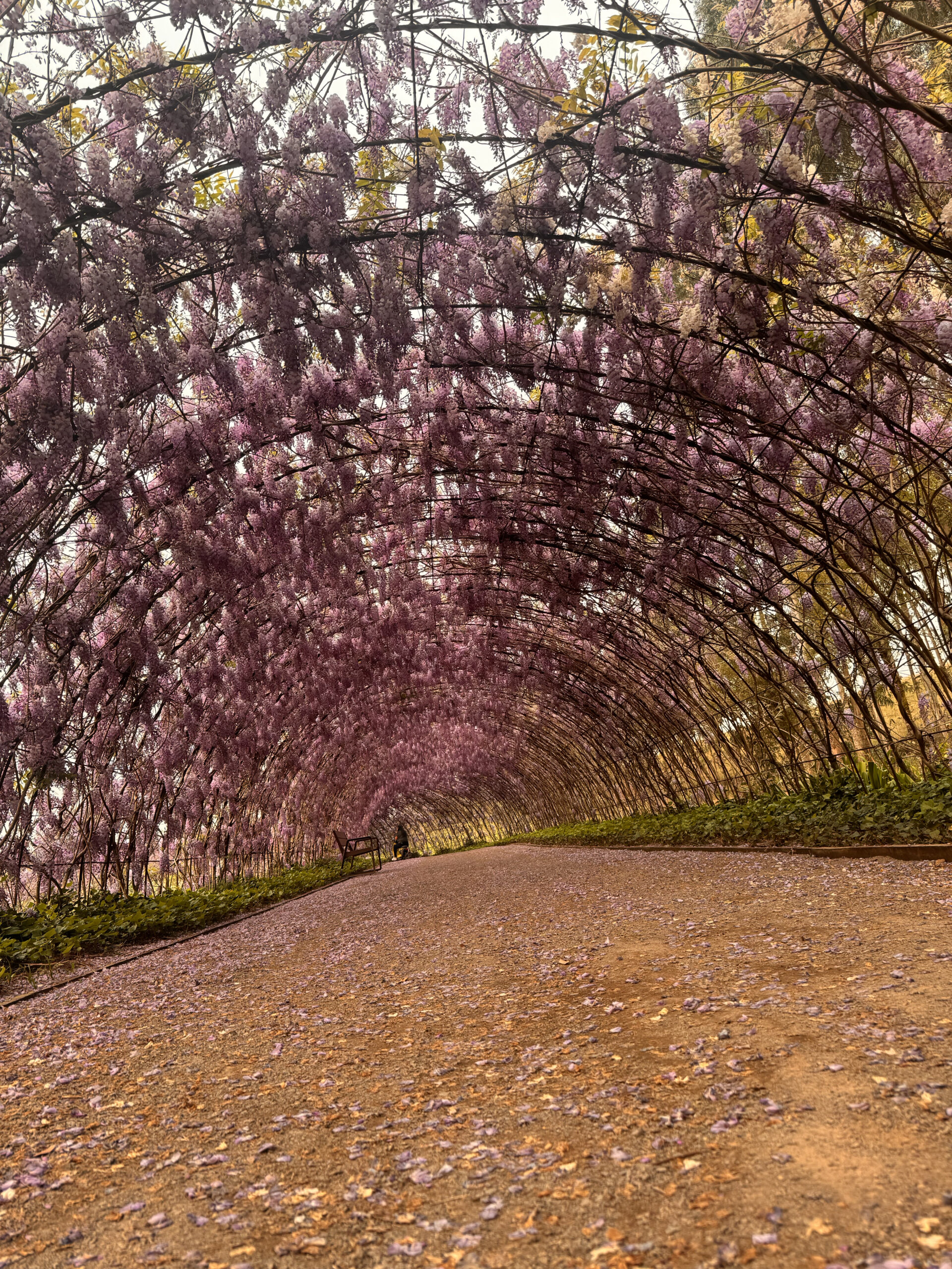 Mátria - Parque de Flores