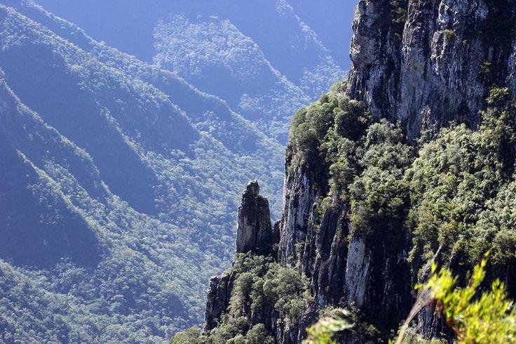 Tour Cânion Fortaleza em Cambará do Sul