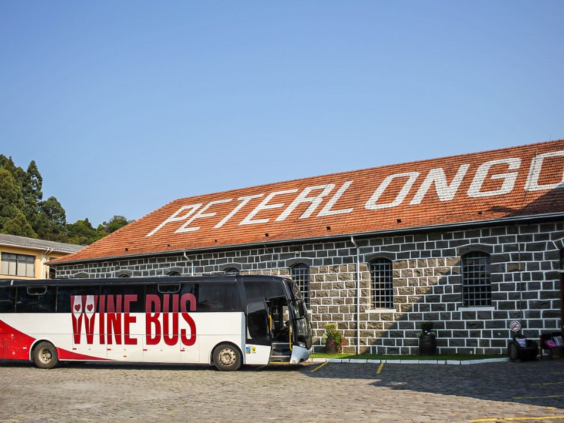 Wine Bus By Garibaldi com Tim Tim e Almoço Premium