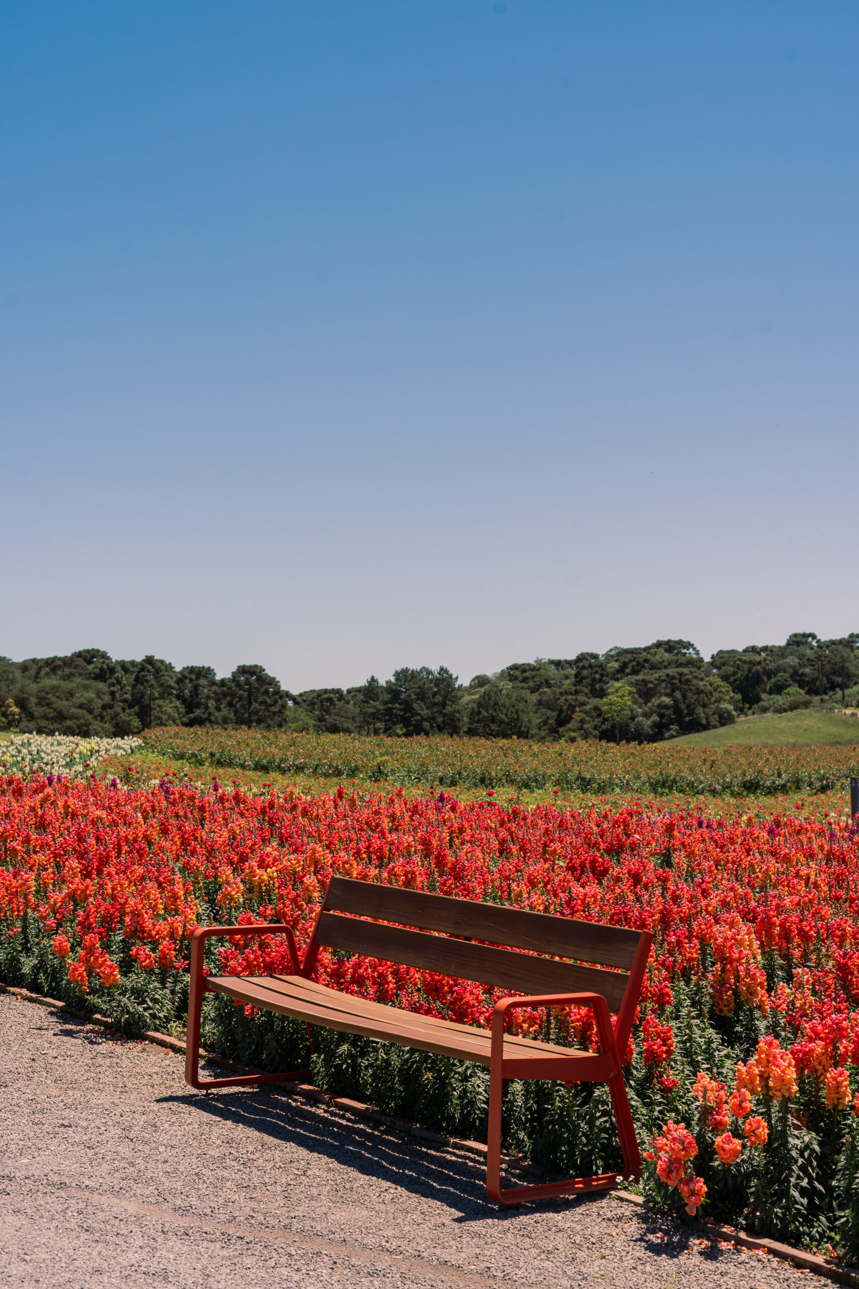 Mátria - Parque de Flores