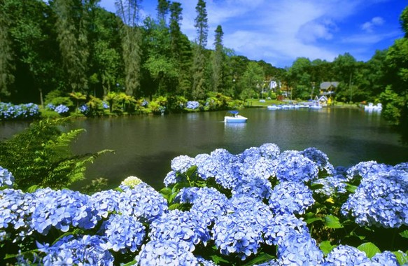 City Tour Privativo Gramado e Canela