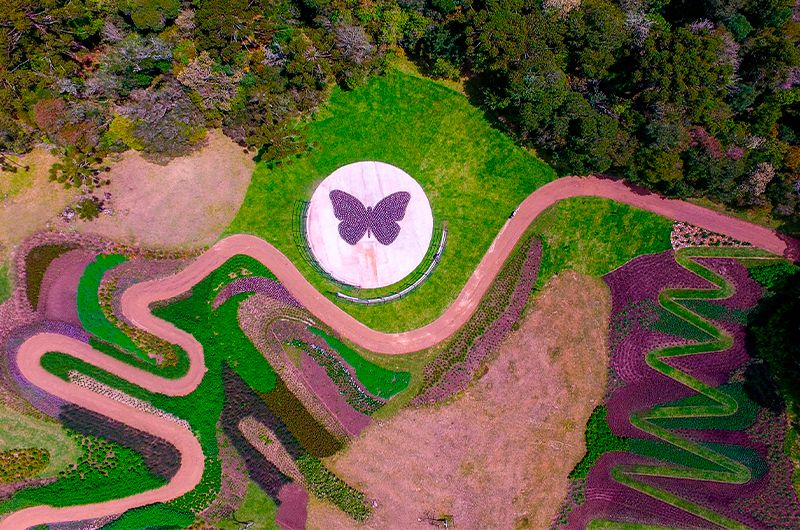 Mátria - Parque de Flores