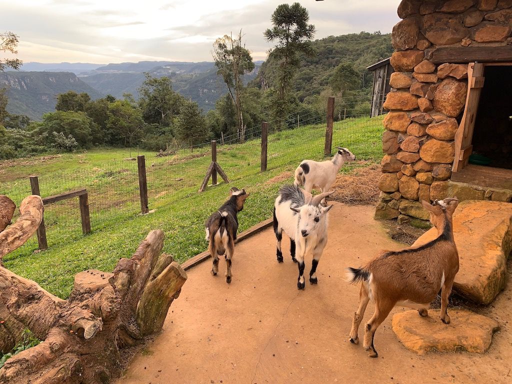 Parque Olivas de Gramado