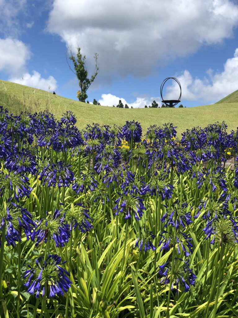 Mátria - Parque de Flores