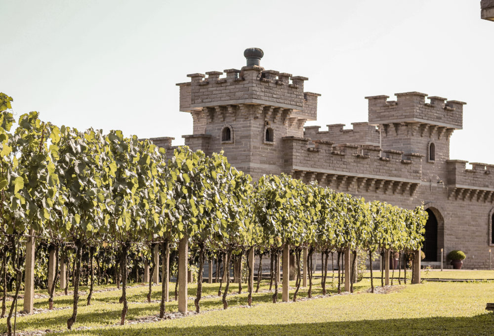 Tour Vinhedos com Casa Valduga, Vinícola Miolo e Vinícola Cave de Pedra