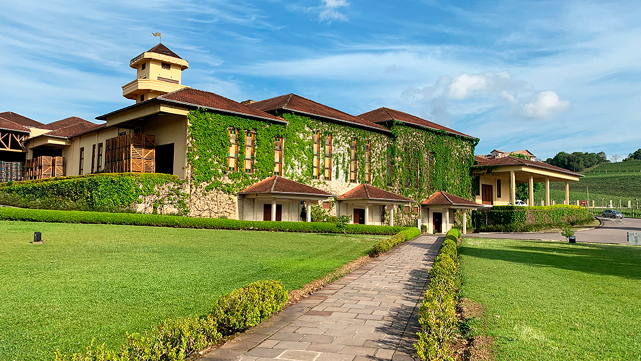 Tour Vinhedos + Vinícolas Casa Valduga e Miolo